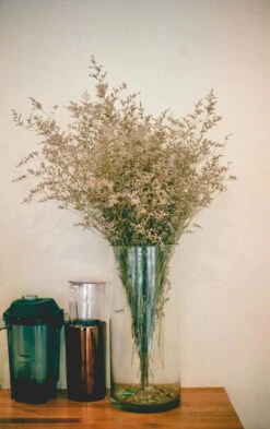 6" X 14" Clear Cylinder Vase - 6 Pieces 9 6" X 14" Clear Cylinder Vase - 6 Pieces -Home Decoration Discount VCY0614 C2 07296.1628626904 69178.1650902056.1280.1280