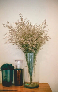 7" X 12" Cylinder Glass Vase - 4 Pieces 11 7" X 12" Cylinder Glass Vase - 4 Pieces -Home Decoration Discount VCY0712 C3 29471 88392 86408 15746.1661986534.1280.1280