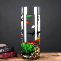 7" X 20" Cylinder Glass Vase - 4 Pieces 12 7" X 20" Cylinder Glass Vase - 4 Pieces -Home Decoration Discount VCY0720 C3 16029 00535 08899.1657124882 13479.1667286286.1280.1280