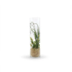 7" X 26" Cylinder Glass Vase - 4 Pieces 10 7" X 26" Cylinder Glass Vase - 4 Pieces -Home Decoration Discount VCY0726 C4 23753 49355 30919.1657124885 84880.1667291242.1280.1280