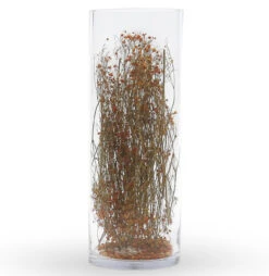 8" X 24" Cylinder Glass Vase - 2 Pieces -Home Decoration Discount VCY0824 C3 19936 86562 72693.1657124904 79093.1670347881.1280.1280