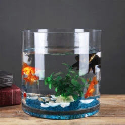 10" X 8" Cylinder Glass Vase - 4 Pieces 12 10" X 8" Cylinder Glass Vase - 4 Pieces -Home Decoration Discount VCY1008 C2 04565 92153 04190.1657127336 92878.1661416478.1280.1280