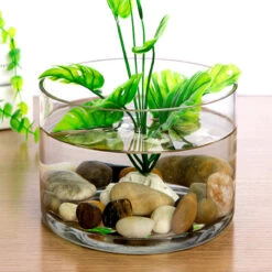 9.75" X 9.5" Clear Cylinder Vase - 4 Pieces 7 9.75" X 9.5" Clear Cylinder Vase - 4 Pieces -Home Decoration Discount VCY1008 C3 32473.1628808333 33327.1641703443.1280.1280