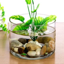 10" X 8" Cylinder Glass Vase - 4 Pieces 10 10" X 8" Cylinder Glass Vase - 4 Pieces -Home Decoration Discount VCY1008 C3 85369 32076 63192.1657127336 61884.1661416478.1280.1280