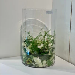 10" X 16" Cylinder Glass Vase - 2 Pieces 10 10" X 16" Cylinder Glass Vase - 2 Pieces -Home Decoration Discount VCY1016 C1 95711 19598 59821.1657127339 01365.1670346742.1280.1280