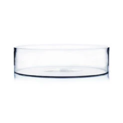 4" X 15" Clear Cylinder Vase - 1 Piece