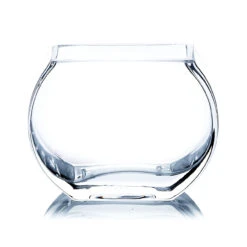 3 Inch Clear Square Moon Vase - 24 Pieces