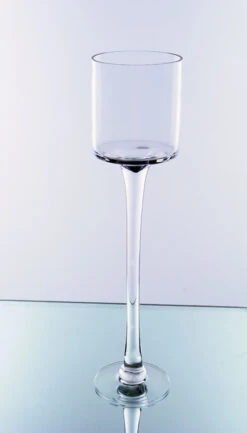 20" X 5" Wine Vase - 6 Pieces -Home Decoration Discount VWV0418 bb 00754.1661954036.1280.1280