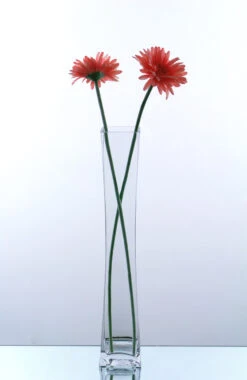 17" Unique Concaved Square Tall Glass Vase - 12 Pieces -Home Decoration Discount VXV0418 bb 29338.1661954857.1280.1280