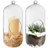 Glass Hanging Capsule Terrarium Candle Holder, H-9.5", 12" W-4.25" (Wholesale 12 Or 18 PCS/Case)