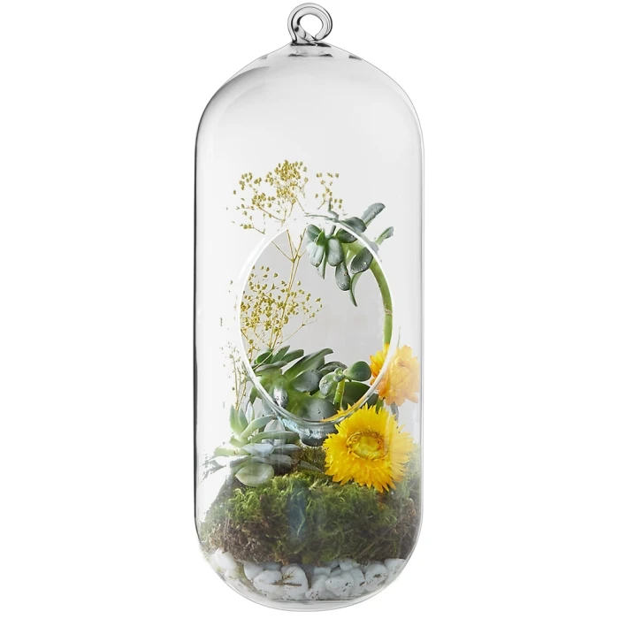 Glass Hanging Capsule Plant Terrarium Tealight Candle Holder, H-12" W-4.25" (Wholesale 12 PCS/Case) 6 Glass Hanging Capsule Plant Terrarium Tealight Candle Holder, H-12" W-4.25" (Wholesale 12 PCS/Case) - Image 6