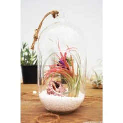 Glass Hanging Capsule Plant Terrarium Tealight Candle Holder, H-12" W-4.25" (Wholesale 12 PCS/Case) 10 Glass Hanging Capsule Plant Terrarium Tealight Candle Holder, H-12" W-4.25" (Wholesale 12 PCS/Case) -Home Decoration Discount capsule terrarium 9 inch tall gch116 09 1 2