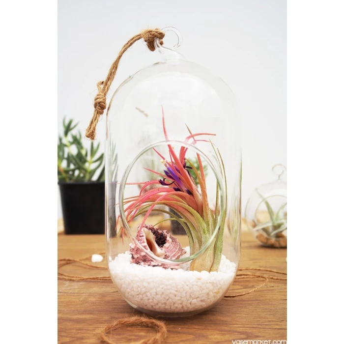 Glass Hanging Capsule Plant Terrarium Tealight Candle Holder, H-12" W-4.25" (Wholesale 12 PCS/Case) 5 Glass Hanging Capsule Plant Terrarium Tealight Candle Holder, H-12" W-4.25" (Wholesale 12 PCS/Case) - Image 5