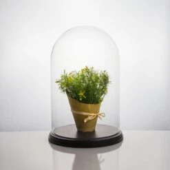 16" Decorative Glass Dome Cloche Plant Terrarium Bell Jars With Wood Base 8 16" Decorative Glass Dome Cloche Plant Terrarium Bell Jars With Wood Base -Home Decoration Discount cloche dome gdo102wb lifestyle 800