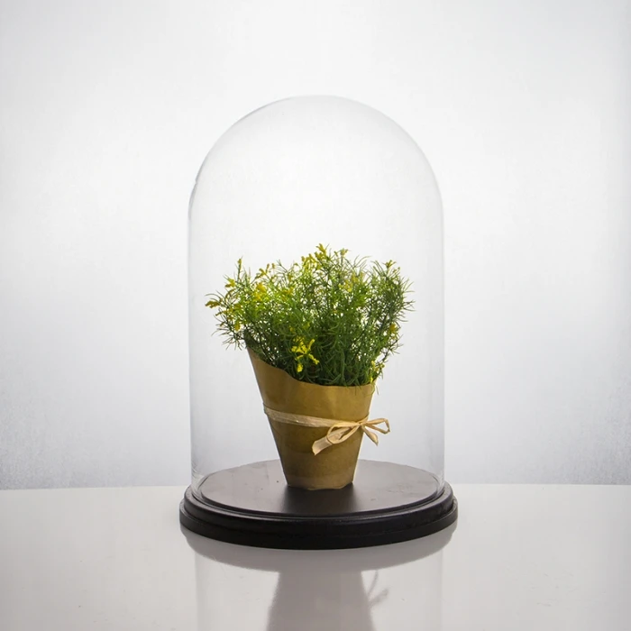 16" Decorative Glass Dome Cloche Plant Terrarium Bell Jars With Wood Base 3 16" Decorative Glass Dome Cloche Plant Terrarium Bell Jars With Wood Base - Image 3