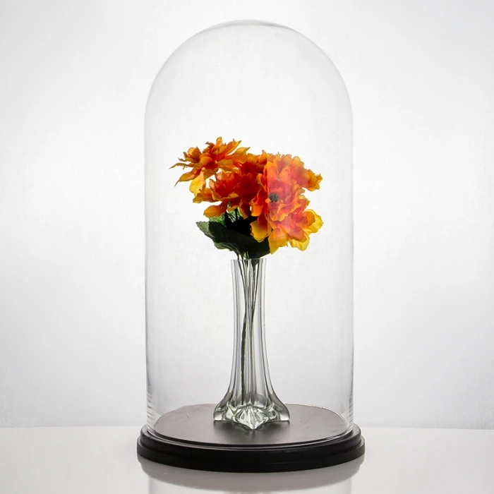 Glass Cloche Display Dome With Black Wood Base, H-20" D-11" (Wholesale 2 PCS/Case) 3 Glass Cloche Display Dome With Black Wood Base, H-20" D-11" (Wholesale 2 PCS/Case) - Image 3