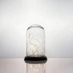 Glass Cloche Display Dome With Black Wood Base, H-11" D-7" (Wholesale 4 PCS/Case) 11 Glass Cloche Display Dome With Black Wood Base, H-11" D-7" (Wholesale 4 PCS/Case) -Home Decoration Discount cloche dome gdo110wb lifestyle 800px