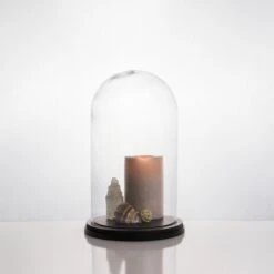 Glass Cloche Display Dome With Black Wood Base, H-15" D-10" (Wholesale 4 PCS/Case) 9 Glass Cloche Display Dome With Black Wood Base, H-15" D-10" (Wholesale 4 PCS/Case) -Home Decoration Discount cloche dome gdo111wb lifestyle 800px