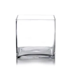 Glass Cube Vase, 8" X 8" X 8" (Wholesale 4 PCS/Case) 9 Glass Cube Vase, 8" X 8" X 8" (Wholesale 4 PCS/Case) -Home Decoration Discount cube1 1000