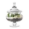 Case Of 4 - Glass Candy Buffet Apothecary Jar, H-15" D-7"