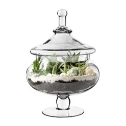 Case Of 4 - Glass Candy Buffet Apothecary Jar, H-15" D-7"