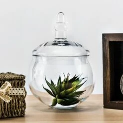 Case Of 8 - Glass Candy Buffet Apothecary Jar, H-10" D-5"