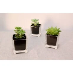 Glass Cube Vase, 3.15" X 3.15" X 3.15" (Wholesale 24 PCS/Case) 8 Glass Cube Vase, 3.15" X 3.15" X 3.15" (Wholesale 24 PCS/Case) -Home Decoration Discount galss cube vase candle holder planter gcb000 1 1