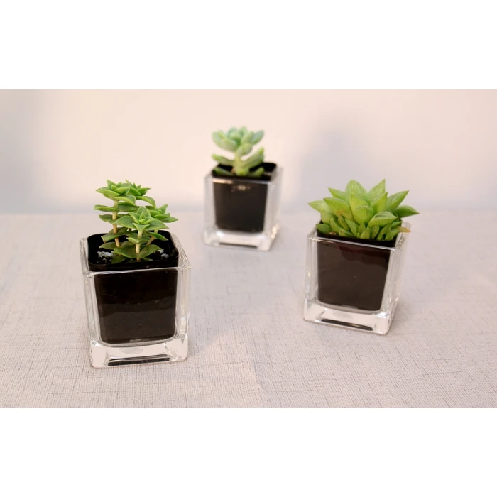 Glass Cube Vase, 3.15" X 3.15" X 3.15" (Wholesale 24 PCS/Case) 4 Glass Cube Vase, 3.15" X 3.15" X 3.15" (Wholesale 24 PCS/Case) - Image 4