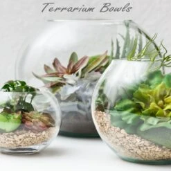 Glass Bubble Bowl, H-8" W-10" (Wholesale 6 PCS/Case) 10 Glass Bubble Bowl, H-8" W-10" (Wholesale 6 PCS/Case) -Home Decoration Discount gbb terr 1