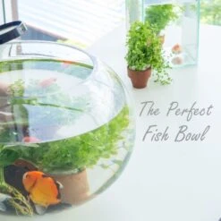 Glass Bubble Bowl, H-10.5" W-13.5" (Wholesale 2 PCS/Case) -Home Decoration Discount gbb106 107 fishh 1