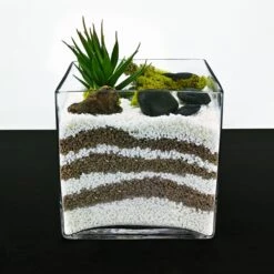 Glass Cube Vase, 8" X 8" X 8" (Wholesale 4 PCS/Case) 11 Glass Cube Vase, 8" X 8" X 8" (Wholesale 4 PCS/Case) -Home Decoration Discount gcb037 06