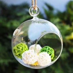 Case Of 48 - Glass Hanging Orb Plant Terrarium Tealight Candle Holder, H-4.5" D-4" 9 Case Of 48 - Glass Hanging Orb Plant Terrarium Tealight Candle Holder, H-4.5" D-4" -Home Decoration Discount gch101 04 6