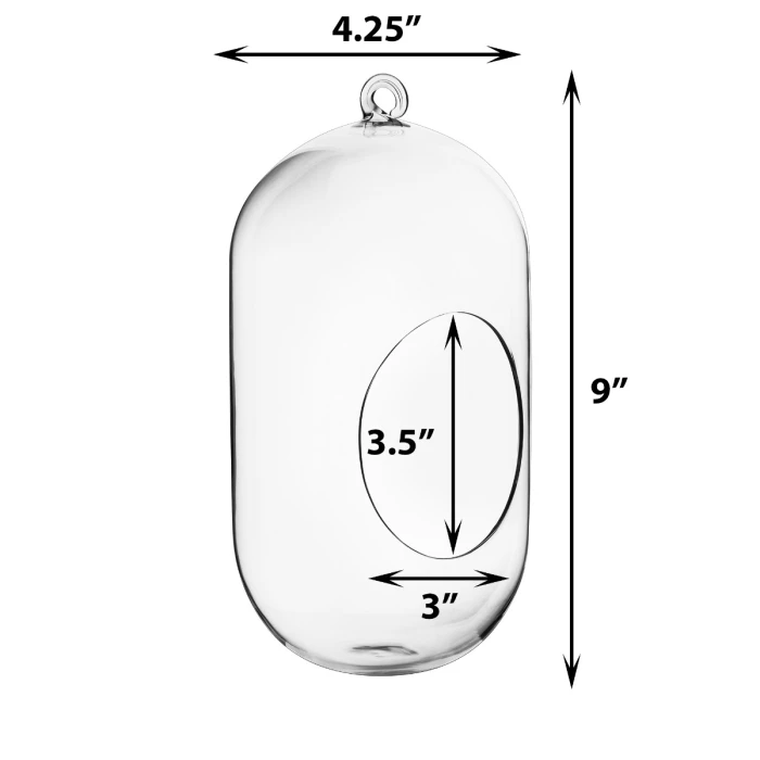Glass Hanging Capsule Terrarium Candle Holder, H-9.5", 12" W-4.25" (Wholesale 12 Or 18 PCS/Case) 2 Glass Hanging Capsule Terrarium Candle Holder, H-9.5", 12" W-4.25" (Wholesale 12 Or 18 PCS/Case) - Image 2