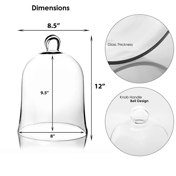 Glass Bell Dome Cloche, H-12" D-8.5" (Wholesale 4 PCS/Case) 2 Glass Bell Dome Cloche, H-12" D-8.5" (Wholesale 4 PCS/Case) - Image 2