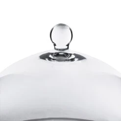 Glass Bell Dome Cloche With Glass Tray Base, H-8.5" D-10" (Wholesale 4 PCS/Case) 10 Glass Bell Dome Cloche With Glass Tray Base, H-8.5" D-10" (Wholesale 4 PCS/Case) -Home Decoration Discount gcl109 details 02