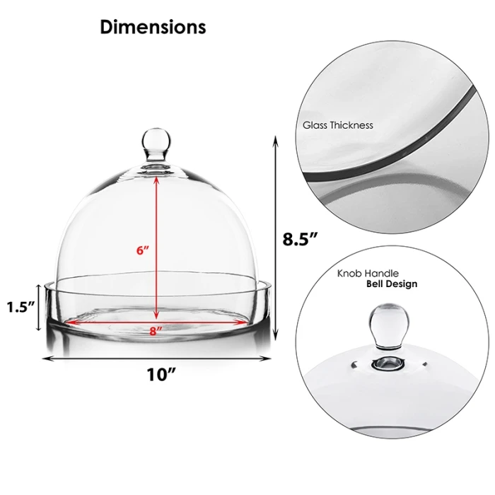 Glass Bell Dome Cloche With Glass Tray Base, H-8.5" D-10" (Wholesale 4 PCS/Case) 2 Glass Bell Dome Cloche With Glass Tray Base, H-8.5" D-10" (Wholesale 4 PCS/Case) - Image 2