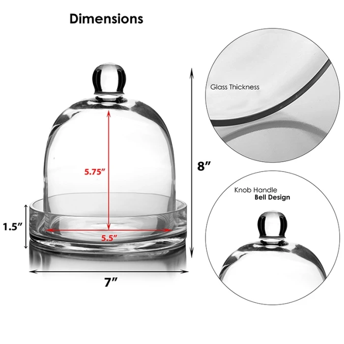 Glass Bell Dome Cloche With Glass Tray Base, H-8" D-7" (Wholesale 4 PCS/Case) 2 Glass Bell Dome Cloche With Glass Tray Base, H-8" D-7" (Wholesale 4 PCS/Case) - Image 2