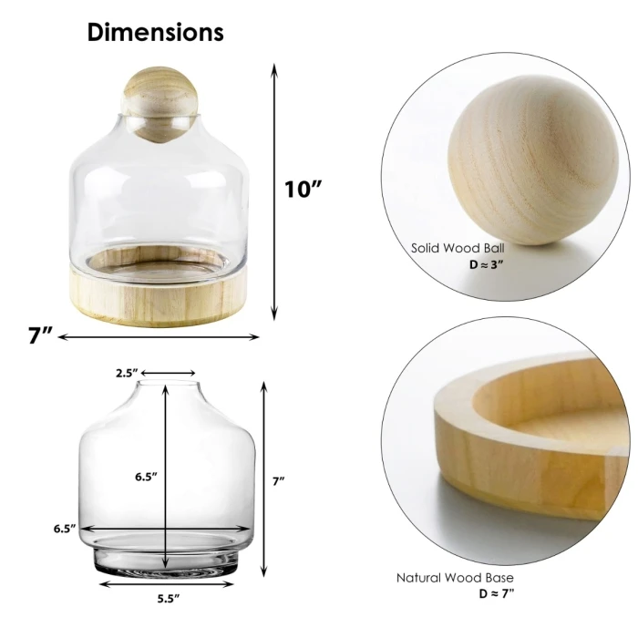 Glass Terrarium Vase With Wood Base And Stopper, H-10" D-7" (Wholesale 6 PCS/Case) 2 Glass Terrarium Vase With Wood Base And Stopper, H-10" D-7" (Wholesale 6 PCS/Case) - Image 2