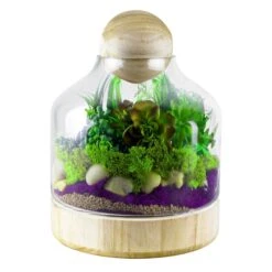 Glass Terrarium Vase With Wood Base And Stopper, H-10" D-7" (Wholesale 6 PCS/Case)