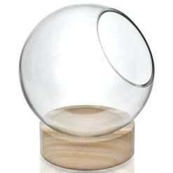 Case Of 6 - Glass Bubble Bowl With Wood Base, H-8.5" W-7" -Home Decoration Discount gcu220 07