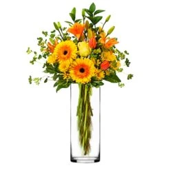 Case Of 12 - Glass Cylinder Vase, H-12" D-4" -Home Decoration Discount gcy010 12121221