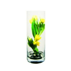 Glass Cylinder Vase, H-16" D-6" (Wholesale 4 PCS/Case) 8 Glass Cylinder Vase, H-16" D-6" (Wholesale 4 PCS/Case) -Home Decoration Discount gcy022 16 6 1