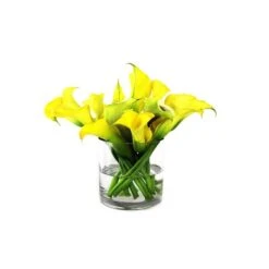 Glass Cylinder Vase, H-6" D-7" (Wholesale 6 PCS/Case) -Home Decoration Discount gcy040 07