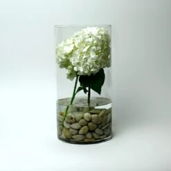 Glass Cylinder Vase, H-16" D-8" (Wholesale 4 PCS/Case) 5 Glass Cylinder Vase, H-16" D-8" (Wholesale 4 PCS/Case) -Home Decoration Discount gcy042 16 1