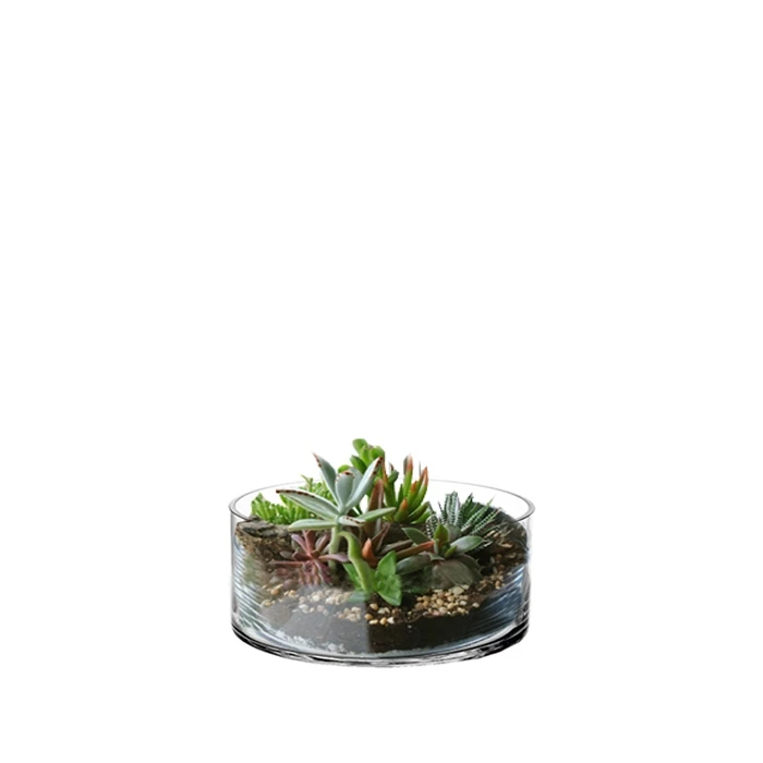 Glass Cylinder Vase, H-4" D-10" (Wholesale 4 PCS/Case) 3 Glass Cylinder Vase, H-4" D-10" (Wholesale 4 PCS/Case) - Image 3