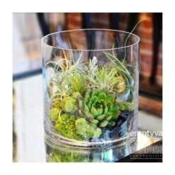 Glass Cylinder Vase, H-12" D-10" (Wholesale 2 PCS/Case) -Home Decoration Discount gcy150 4