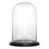 16" Decorative Glass Dome Cloche Plant Terrarium Bell Jars With Wood Base