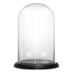 16" Decorative Glass Dome Cloche Plant Terrarium Bell Jars With Wood Base