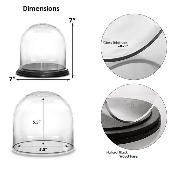 Glass Cloche Display Dome With Black Wood Base, H-7" D-7" (Wholesale 8 PCS/Case) 2 Glass Cloche Display Dome With Black Wood Base, H-7" D-7" (Wholesale 8 PCS/Case) - Image 2
