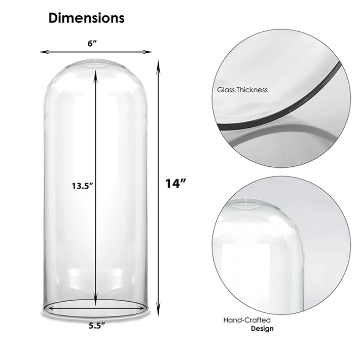 Glass Cloche Display Dome, H-14" D-6" (Wholesale 4 PCS/Case) 2 Glass Cloche Display Dome, H-14" D-6" (Wholesale 4 PCS/Case) - Image 2